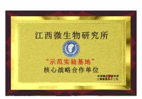 企業(yè)榮譽資質